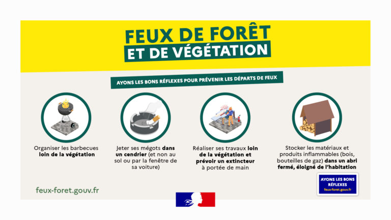 Feu de forêt et de végétation : réflexe de prévention 🌾